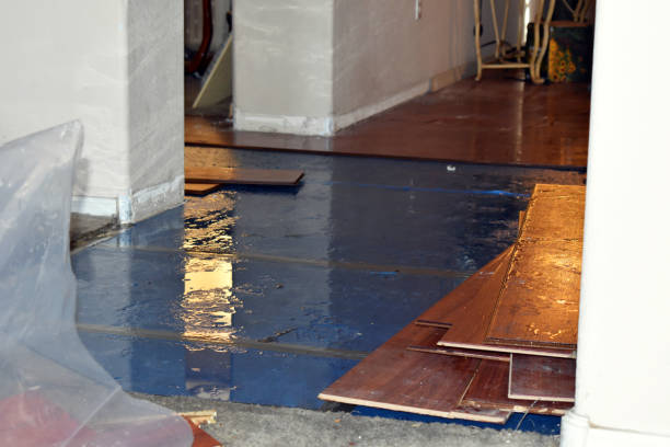 Professional Flood Damage Restoration technician working in Fischer, TX